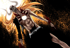 арранкар, ичиго, Блич, hollow ichigo, bleach