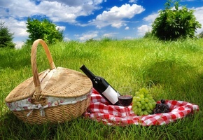 Природы, пейзаж, весной, вина, облака, трава, небо