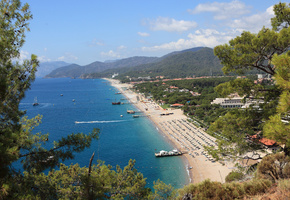 пляж, дома, деревья, Океан