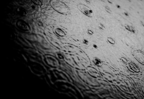 капли, чб, Дождь, фото, обои, макро, вода, настроение