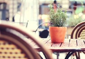 tilt-shift, wicker chairs, after rain, Tea-garden, уличное, city, street, кафе