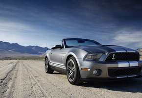 shelby, mustang, Ford, кабриолет