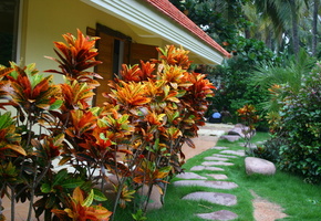 китай, природа, отдых, Пейзаж, остров хайнань