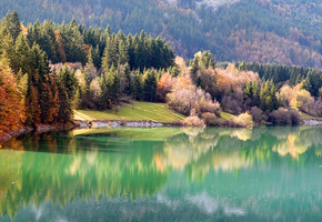 берег, Природа, река, осень, лес