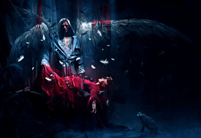 кровь, крылья, платье, девушка, Ангел, красное, перья