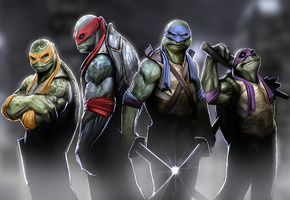 ninja, leonardo, raphael, Tmnt, donatello, turtles, teenage mutant ninja turtles, michelangelo