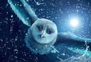 Сова, мультфильм, ночь, полет