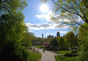 park, тропинка, New york, деревья, тропинки, парк, нью йорк