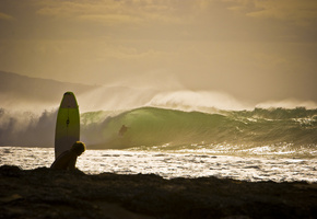 океан, волны, сёрфинг, доска, брызги, пляж, Surfing