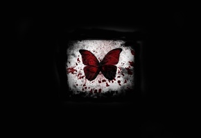 кровь, Черный фон, пятно, бабочка, свет
