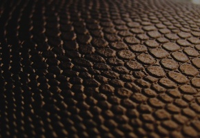 коричневый, шороладный, черный, кожа, Текстура, макро
