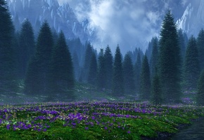 Цветы, природа, горы, ели