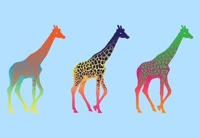 Giraffe, минимализм, разноцветный, жираф, поп арт