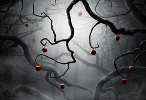 мрак, Ветки, деревья, туман, ветви, яблоки