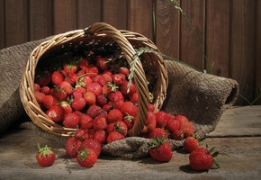 Ягоды, росыпь, лукошко, клубника, корзинка, дерево