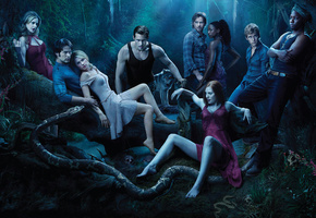 вампиры, ночь, змея, люди, Реальная кровь, волк