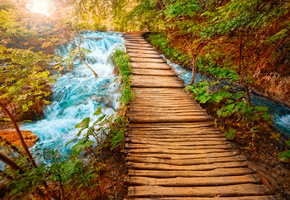 Река, камни, бревна, мостик, горная, водопад, вода, мост