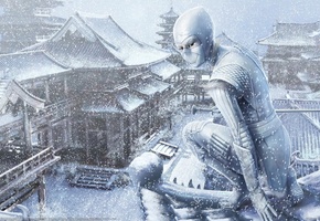 Арт, ниндзя, крыша, девушка, азия, снег, зима, steve argyle