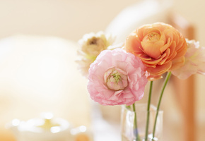 обои, настроение, букет, нежность, Цветы, ваза, весна