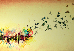 бабочка, Рай, цветок