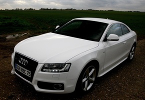 ауди, белая, coupe, quattro, Audi a5