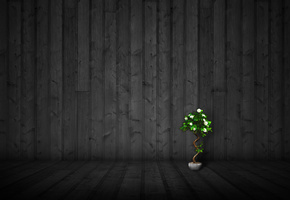 стена, Минимализм, обои, настроения, цветы, вазон, стиль