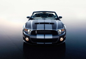 асфальт, Кобра, фронт