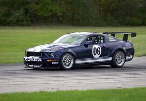 cobra, shelbi, Ford