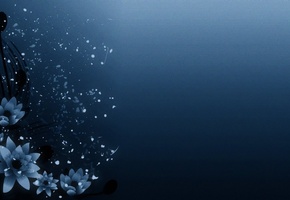 фон, background, wallpapers, Текстуры, обои, картинки