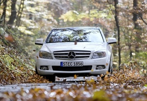 c350, Mercedes-benz, листва, дорога