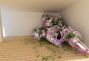 доски, Комната, листья, 151