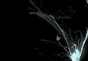 Черный, брызги, краска