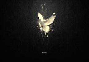 часы, голубь, фон, надпись, символика, Чёрный, минимализм