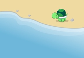 черепаха, Море. берег