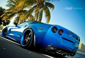 Пальма, синий, машина