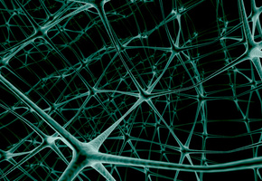Нейроны, сеть, связь