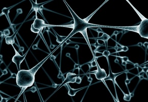 Размытость, цепь, нейроны