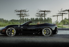 Ferrari, феррари, деревья