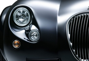 Wiesman, решотка, машина