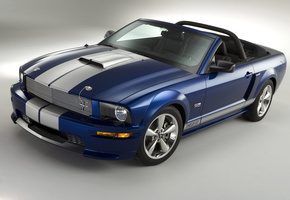 Shelby shelby gt convertible