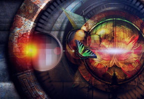 Бабочки, круг, цвет