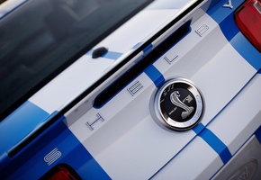 знак, Mustang, багажник, змея, gt500, shelby