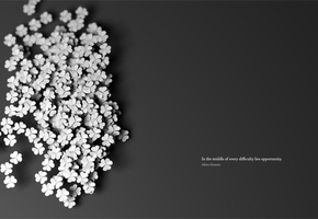 клевер, Цитата, фон