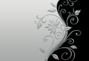 grey, minimal, blossom, Flower, black