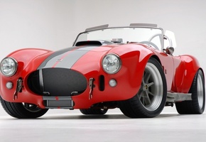 Кобра, спорт, красная