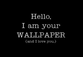 i love u, Чёрно-белая, минимализм, wallpaper