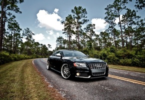 на природе, Audi, чёрная