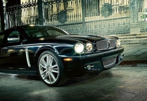 Ягуар, ограда, вечер