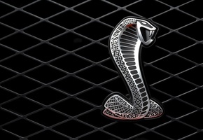 решетка, металл, Змея