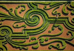 Сад, лабиринт, сверху